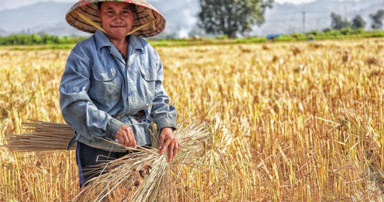 EVOLUZIONE NUTRIGENETICA: COME LA CUCINA LOCALE MODIFICA IL GENOMA